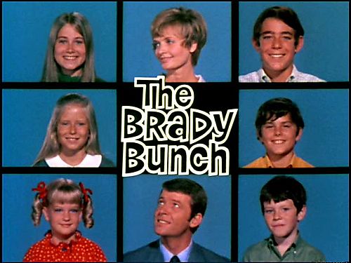 Growing up I LOVED watching The Brady Bunch and I wanted to live in their 